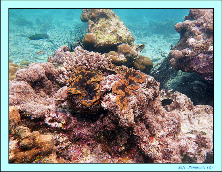 2011 - 07 - Koh Lipe 65